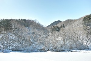 春の雪