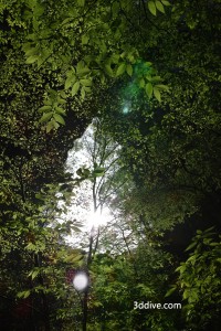 羅生門